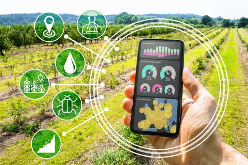 IoT in Agriculture: How Technology Is Transforming Farming Practices